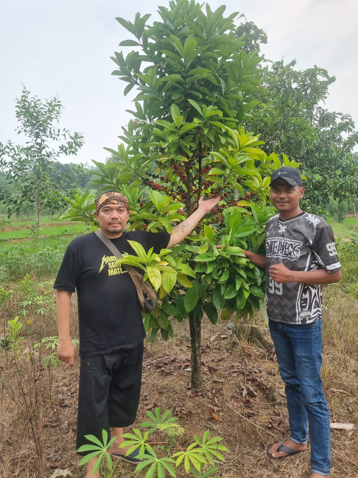 Dady Mulyadi SH:Dewan Pembina GKTMTB Selalu Siaga Menjaga Lahan Hak Warga